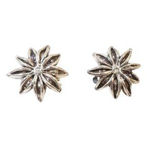 Bat Ami Clip Sterling Silver Clip-On Earrings